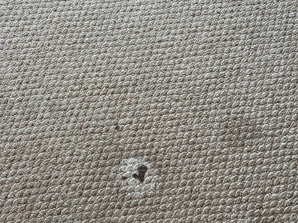 Close-up of loop-pile carpet with a spot mark